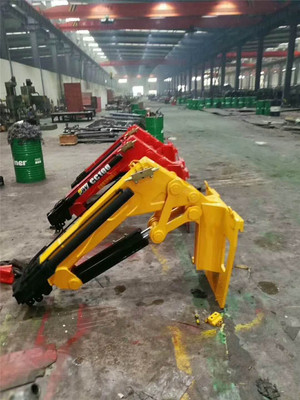 Forklift truck crane
